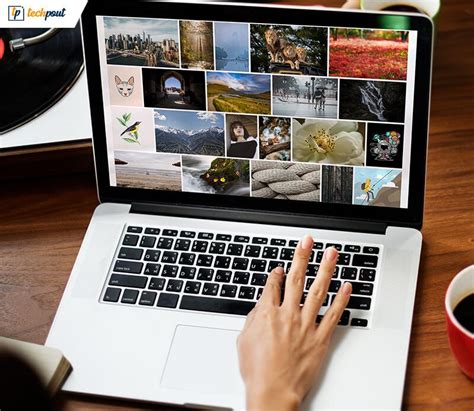 Stock photo sites. Things To Know About Stock photo sites. 